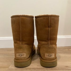 UGG short chestnut